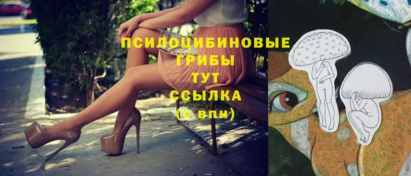 а пвп мука Армянск