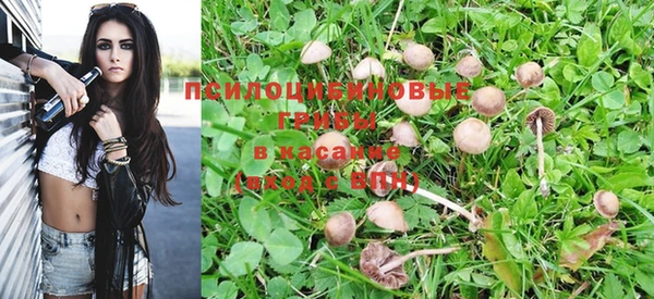 MESCALINE Арсеньев